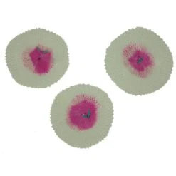 Outdoor Camping Store -Outdoor Camping Store go 114805 z